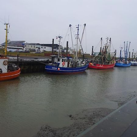 Nordsee Und Natur. Gemuetliche Fewo Mit Deichblick Дорум Нойфелд Екстериор снимка