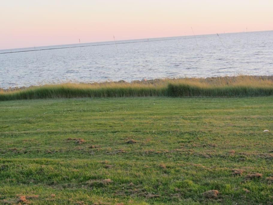 Nordsee Und Natur. Gemuetliche Fewo Mit Deichblick Дорум Нойфелд Екстериор снимка