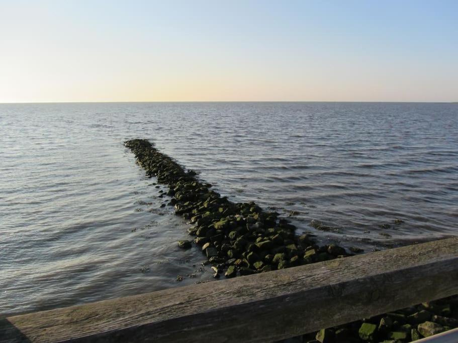 Nordsee Und Natur. Gemuetliche Fewo Mit Deichblick Дорум Нойфелд Екстериор снимка